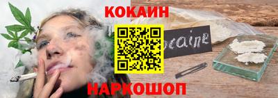 стафф Дубна