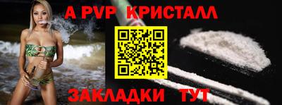 стафф Дубна