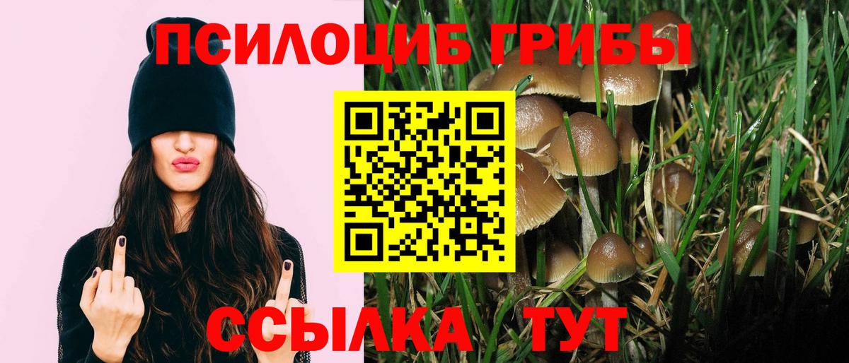 цены наркотик  Галлюциногенные грибы прущие грибы  Галлюциногенные грибы GOLDEN TEACHER  Вход с VPN  Михайловка 