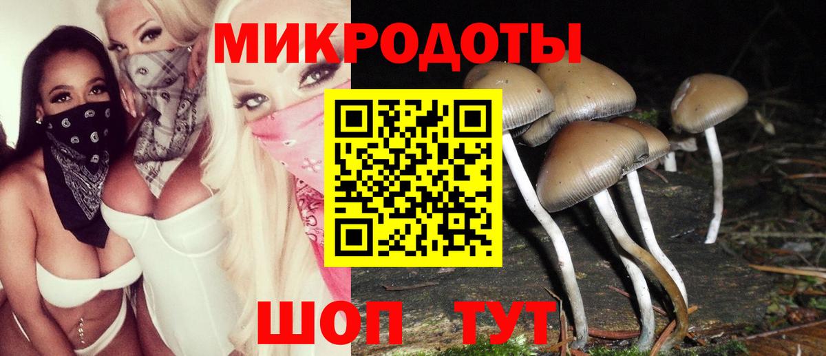 Псилоцибиновые грибы Magic Shrooms Михайловка