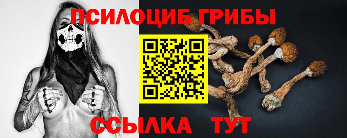 Галлюциногенные грибы мухоморы Михайловка