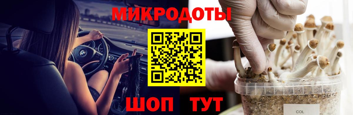 Галлюциногенные грибы Psilocybine cubensis  Псилоцибиновые грибы мицелий  Михайловка 